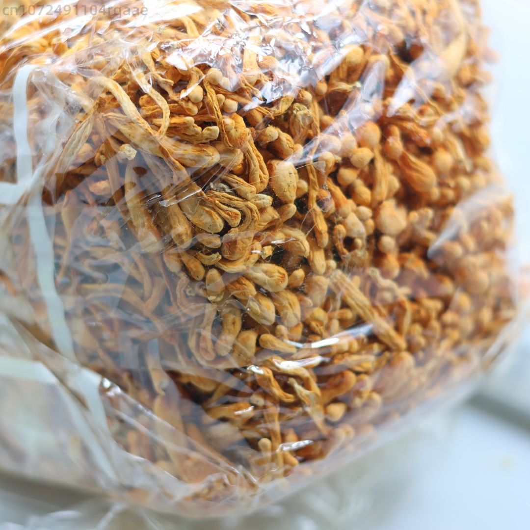250g/500g Premium Natural Cord - Soap Making Raw Material บทวิจารณ์และราคา